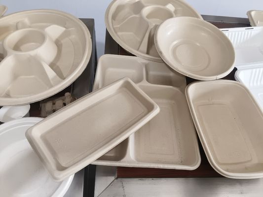  मोल्डेड पल्प के लिए स्वचालित स्प्रे कोटिंग सिस्टम | सटीक आंतरिक कोटिंग