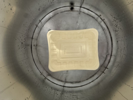 बैगास और बांस के टेबलवेयर के लिए उच्च-दक्षता सुखाने प्रणाली के साथ लुगदी से ढाले गए जलरोधी के लिए 24-स्टेशन स्पिन कोटिंग लाइन