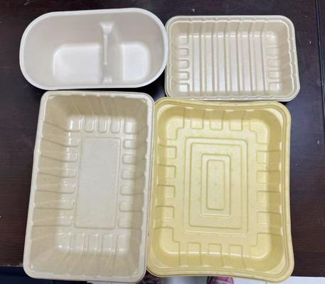 पल्स मोल्ड टेबलवेयर के पानी/तेल बाधा कोटिंग के लिए स्मार्ट 24-स्टेशन स्पिन कोटिंग लाइन