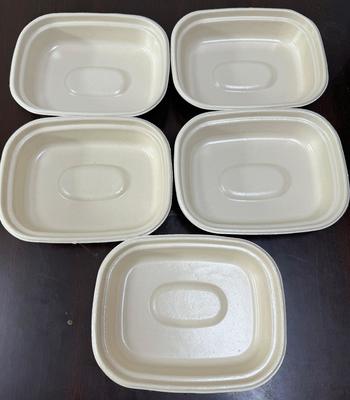 वनस्पति आधारित टेबलवेयर के लिए कार्बन-न्यूट्रल डबल-स्टेशन स्पिन कोटिंग प्रोटोटाइपर - प्लेट, कटोरे और मांस ट्रे के लिए कार्बन-न्यूट्रल समाधान