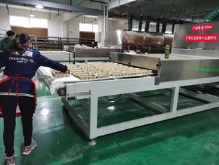 औद्योगिक माइक्रोवेव फल ड्रायर और जड़ी बूटी ड्रायर मशीन | उच्च दक्षता और गुणवत्ता संरक्षण