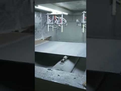 असली पत्थर छिड़काव उत्पादन लाइन