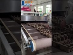 माइक्रोवेव सुखाने की मशीन